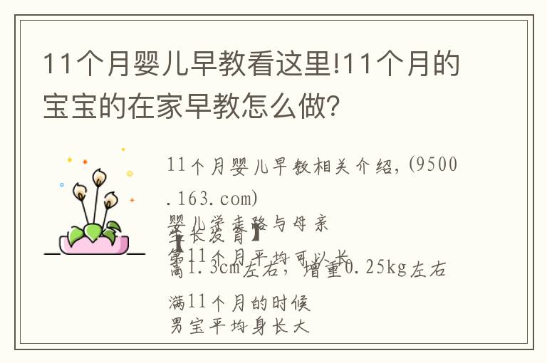 11個(gè)月嬰兒早教看這里!11個(gè)月的寶寶的在家早教怎么做？