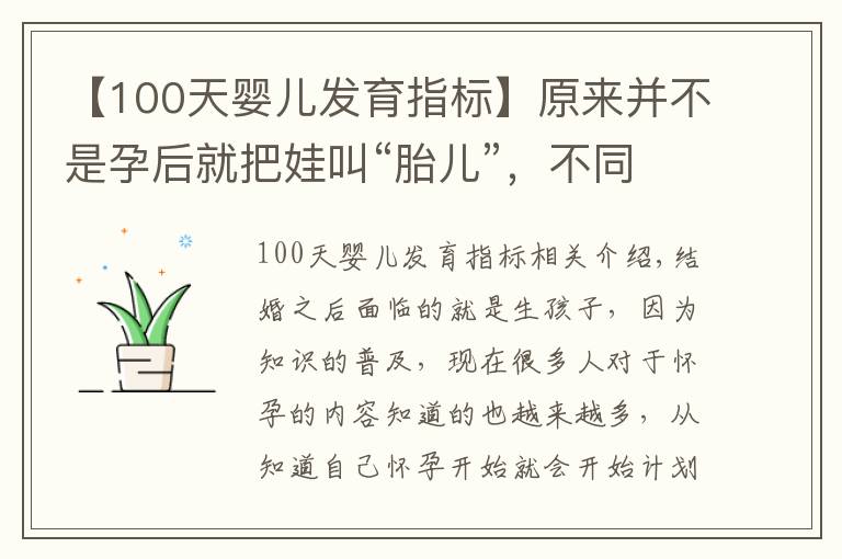 【100天嬰兒發(fā)育指標(biāo)】原來并不是孕后就把娃叫“胎兒”，不同階段的稱呼，你聽過幾個？