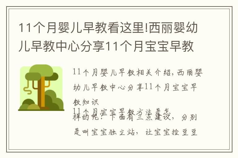 11個(gè)月嬰兒早教看這里!西麗嬰幼兒早教中心分享11個(gè)月寶寶早教知識(shí)