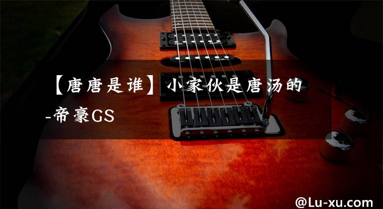 【唐唐是誰(shuí)】小家伙是唐湯的-帝豪GS