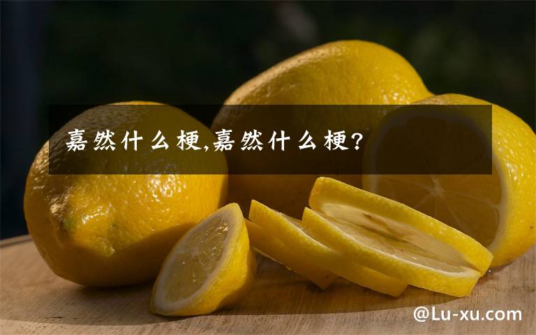 嘉然什么梗,嘉然什么梗?