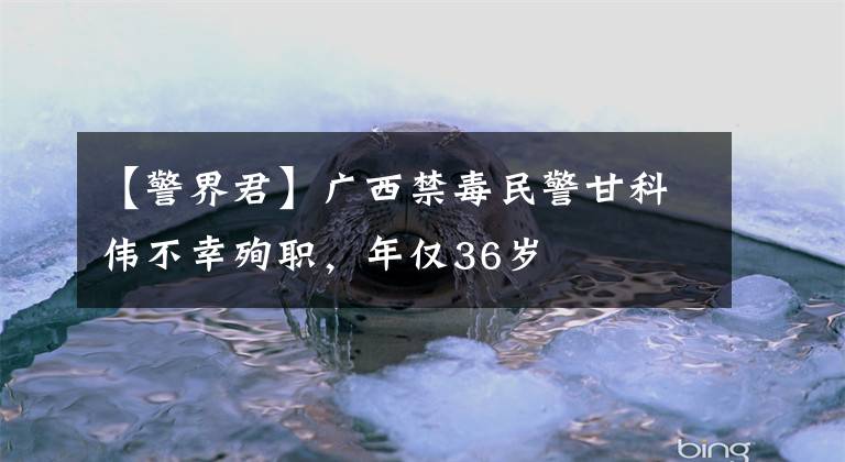 【警界君】廣西禁毒民警甘科偉不幸殉職，年僅36歲