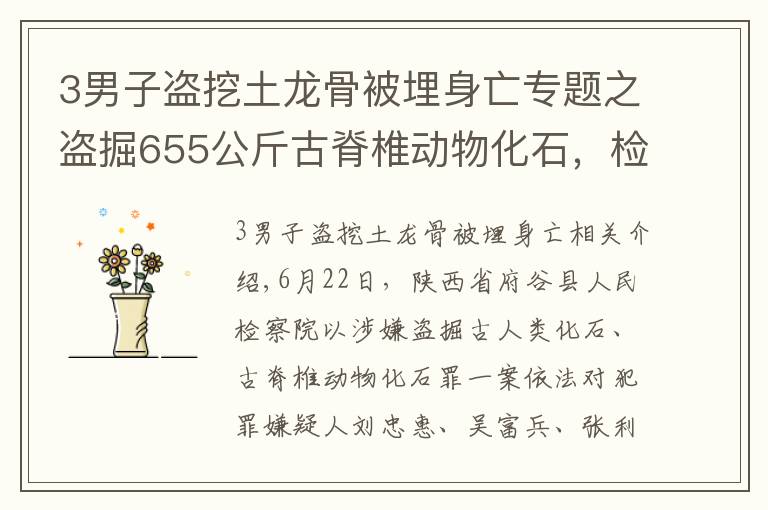 3男子盜挖土龍骨被埋身亡專題之盜掘655公斤古脊椎動物化石，檢察院對劉忠惠等人批準(zhǔn)逮捕