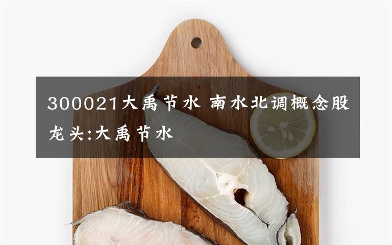 300021大禹節(jié)水 南水北調(diào)概念股龍頭:大禹節(jié)水