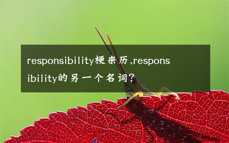 responsibility梗來歷,responsibility的另一個(gè)名詞？