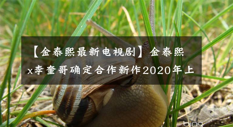 【金泰熙最新電視劇】金泰熙x李奎哥確定合作新作2020年上半年播出