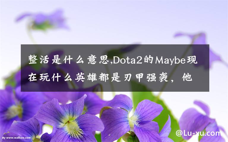 整活是什么意思,Dota2的Maybe現(xiàn)在玩什么英雄都是刃甲強(qiáng)襲，他這樣是不是在