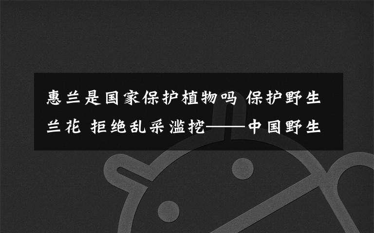 惠蘭是國(guó)家保護(hù)植物嗎 保護(hù)野生蘭花 拒絕亂采濫挖——中國(guó)野生植物保護(hù)協(xié)會(huì)啟動(dòng)蘭科植物保護(hù)行動(dòng)