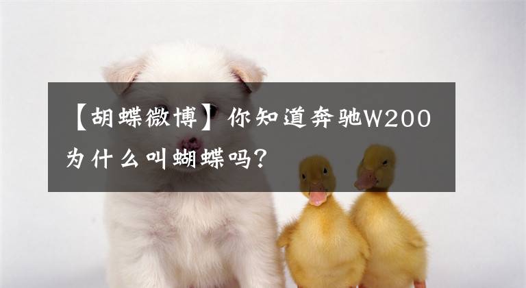 【胡蝶微博】你知道奔馳W200為什么叫蝴蝶嗎？