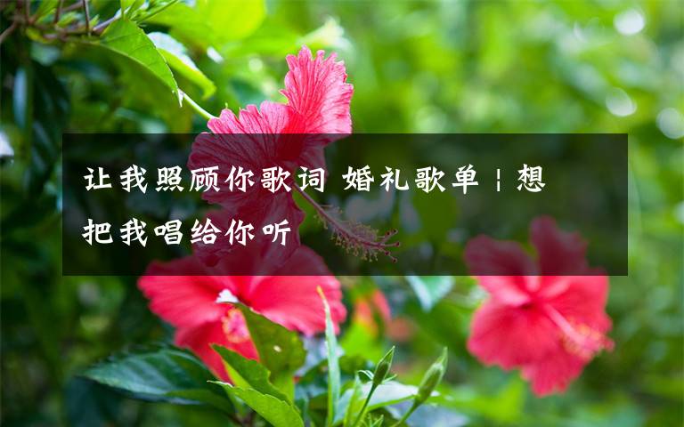 讓我照顧你歌詞 婚禮歌單 | 想把我唱給你聽