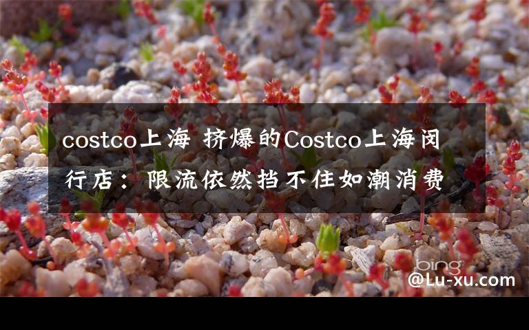 costco上海 擠爆的Costco上海閔行店：限流依然擋不住如潮消費者