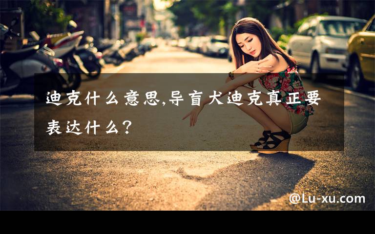 迪克什么意思,導盲犬迪克真正要表達什么？