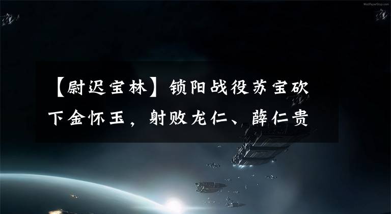 【尉遲寶林】鎖陽戰(zhàn)役蘇寶砍下金懷玉，射敗龍仁、薛仁貴、魏、遲寶林兄弟