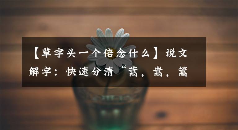 【草字頭一個(gè)倍念什么】說(shuō)文解字：快速分清“蒿，嵩，篙”，青蒿素并不是來(lái)自青蒿草