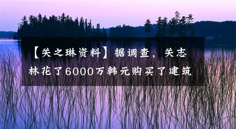 【關(guān)之琳資料】據(jù)調(diào)查，關(guān)志林花了6000萬(wàn)韓元購(gòu)買(mǎi)了建筑物，房子已經(jīng)超過(guò)5億！發(fā)財(cái)都取決于劉顯雄嗎？