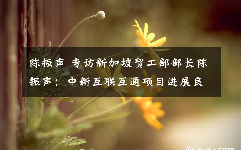 陳振聲 專訪新加坡貿(mào)工部部長(zhǎng)陳振聲：中新互聯(lián)互通項(xiàng)目進(jìn)展良好效果顯著