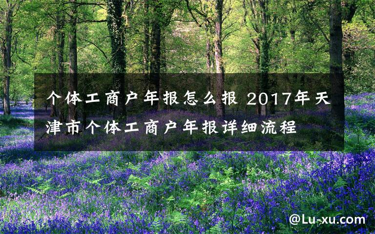 個體工商戶年報怎么報 2017年天津市個體工商戶年報詳細流程