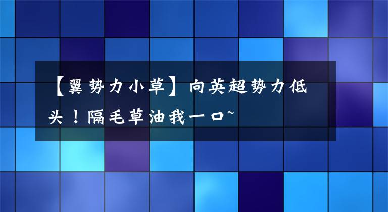 【翼勢(shì)力小草】向英超勢(shì)力低頭！隔毛草油我一口~