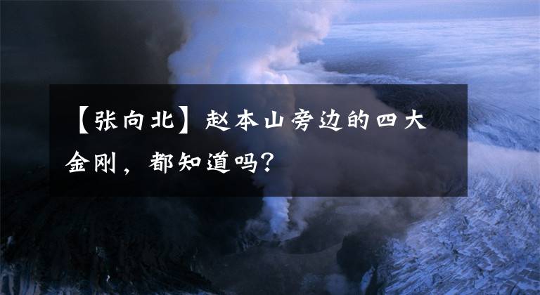 【張向北】趙本山旁邊的四大金剛，都知道嗎？