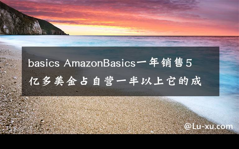 basics AmazonBasics一年銷售5億多美金占自營一半以上它的成功僅僅是掛亞馬遜的名嗎