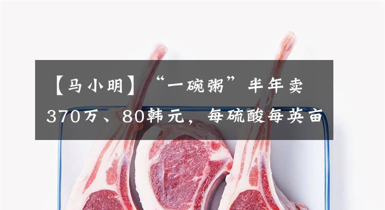 【馬小明】“一碗粥”半年賣370萬、80韓元，每硫酸每英畝收入接近1萬韓元?！薄缎聟瘟河⑿邸吩趺崔k？