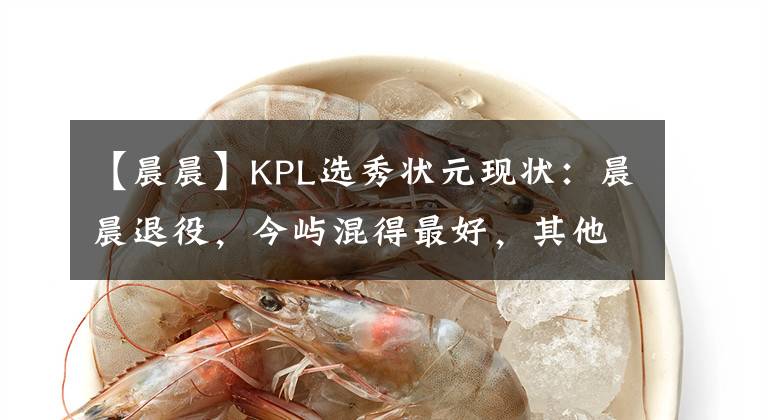 【晨晨】KPL選秀狀元現(xiàn)狀：晨晨退役，今嶼混得最好，其他人含金量如何？