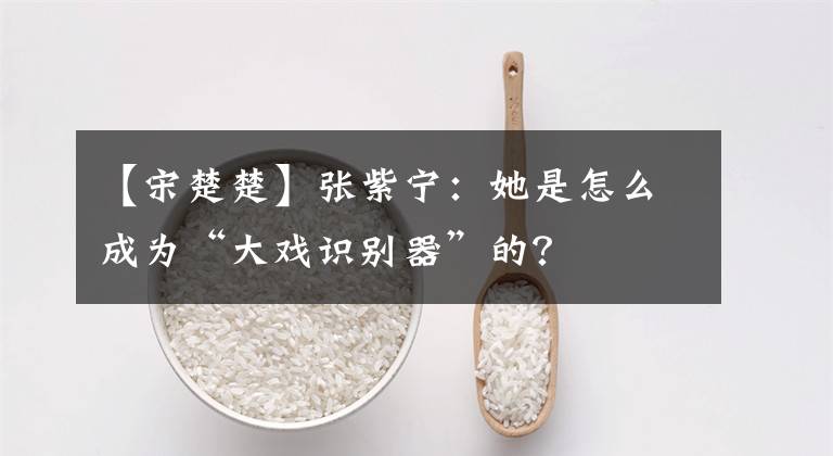 【宋楚楚】張紫寧：她是怎么成為“大戲識別器”的？