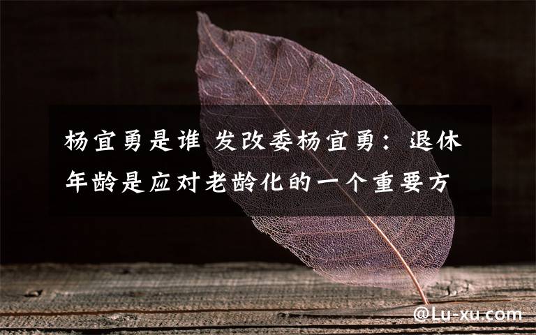 楊宜勇是誰(shuí) 發(fā)改委楊宜勇：退休年齡是應(yīng)對(duì)老齡化的一個(gè)重要方面