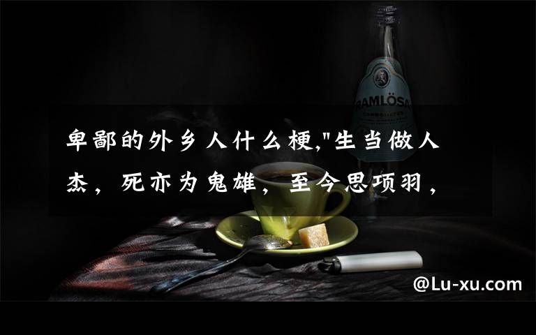 卑鄙的外鄉(xiāng)人什么梗,