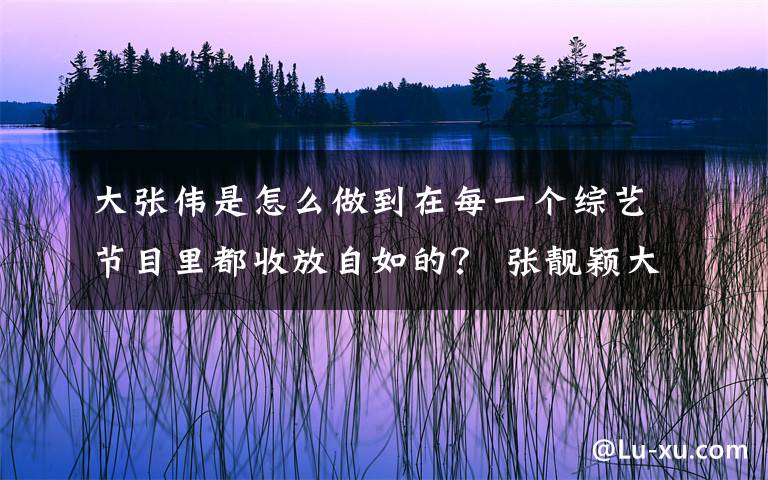 大張偉是怎么做到在每一個(gè)綜藝節(jié)目里都收放自如的？ 張靚穎大張偉什么綜藝