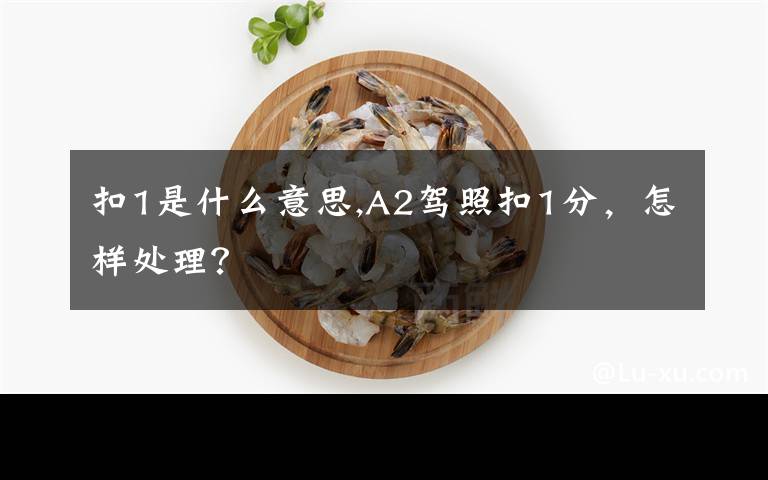 扣1是什么意思,A2駕照扣1分，怎樣處理？