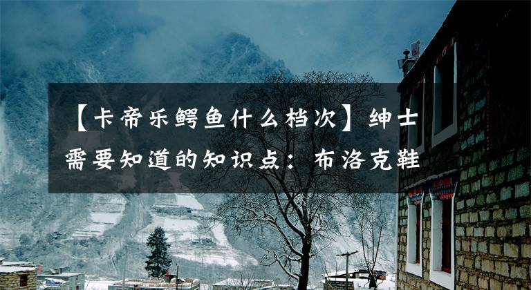 【卡帝樂鱷魚什么檔次】紳士需要知道的知識點：布洛克鞋、牛津鞋、黛比鞋都是什么鬼東西？