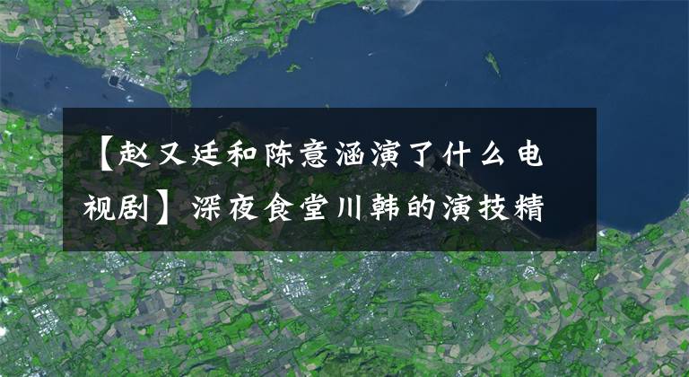 【趙又廷和陳意涵演了什么電視劇】深夜食堂川韓的演技精華任性的小功臣，其實(shí)話劇外人早就崩潰了。