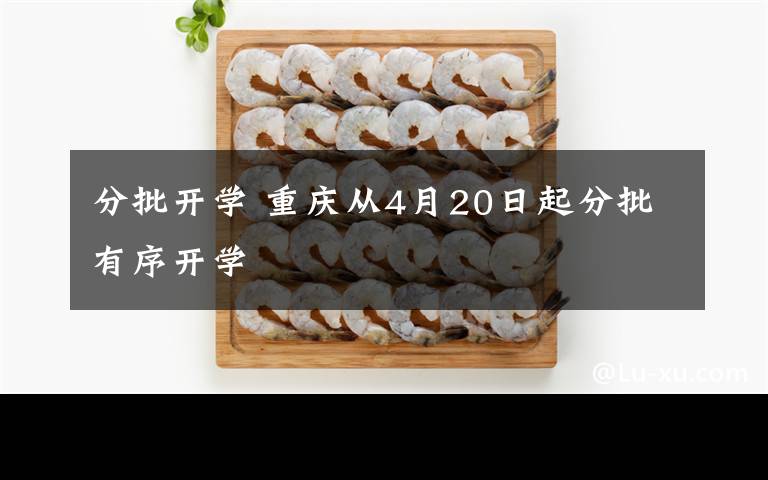 分批開學(xué) 重慶從4月20日起分批有序開學(xué)