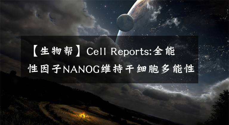 【生物幫】Cell Reports:全能性因子NANOG維持干細(xì)胞多能性的關(guān)鍵蛋白