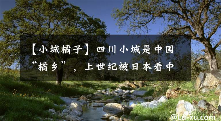 【小城橘子】四川小城是中國“橘鄉(xiāng)”，上世紀(jì)被日本看中，是塊寶地