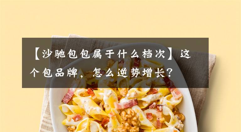 【沙馳包包屬于什么檔次】這個(gè)包品牌，怎么逆勢(shì)增長(zhǎng)？