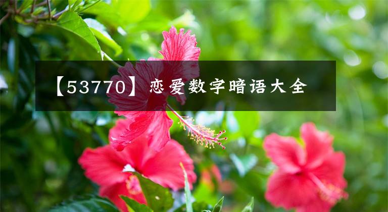 【53770】戀愛數(shù)字暗語大全