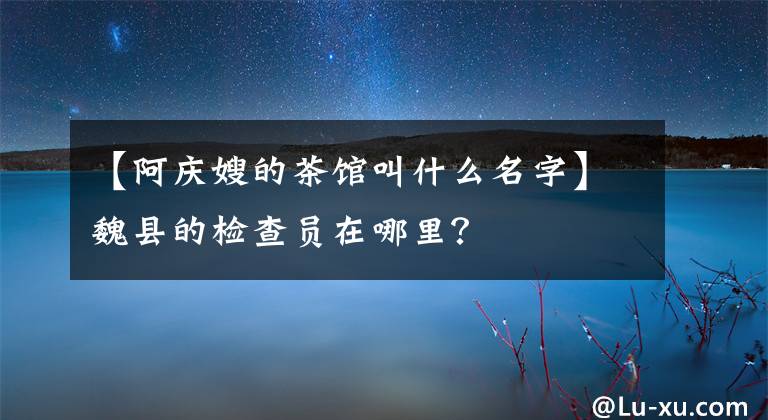 【阿慶嫂的茶館叫什么名字】魏縣的檢查員在哪里？