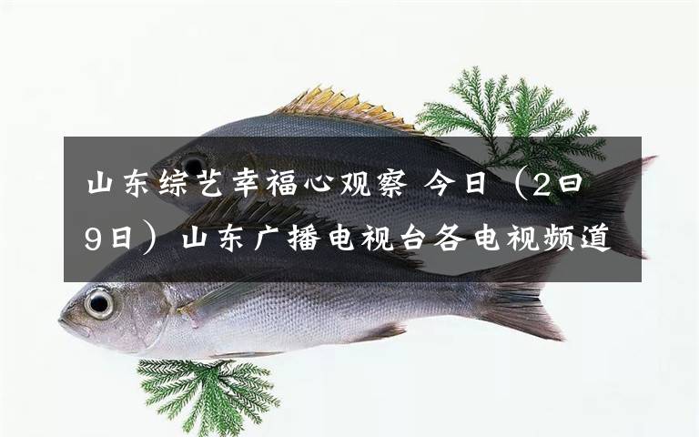 山東綜藝幸福心觀察 今日（2曰9日）山東廣播電視臺各電視頻道節(jié)目預(yù)告