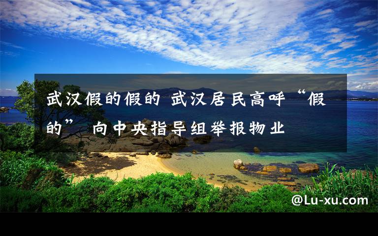 武漢假的假的 武漢居民高呼“假的” 向中央指導(dǎo)組舉報(bào)物業(yè)