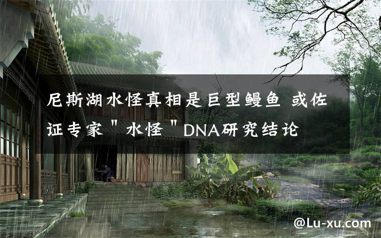 尼斯湖水怪真相是巨型鰻魚 或佐證專家＂水怪＂DNA研究結(jié)論