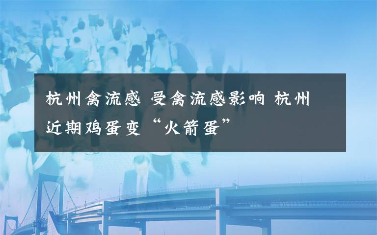 杭州禽流感 受禽流感影響 杭州近期雞蛋變“火箭蛋”