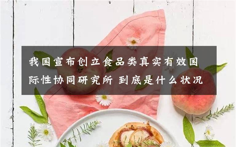 我國宣布創(chuàng)立食品類真實有效國際性協(xié)同研究所 到底是什么狀況？