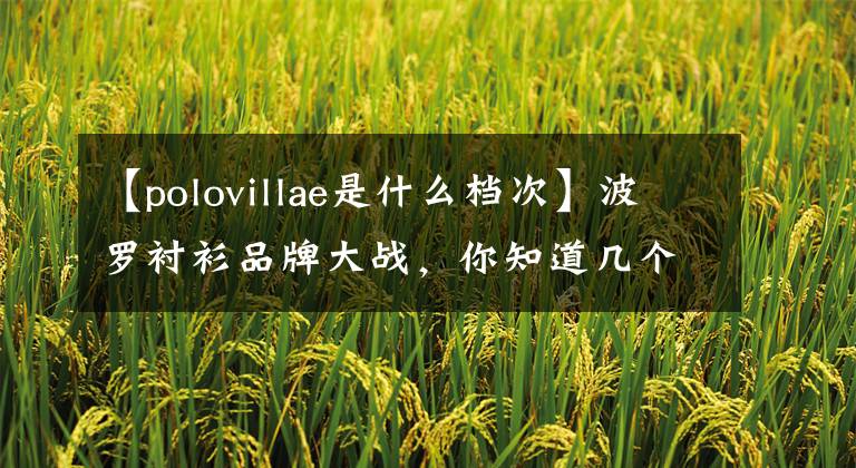 【polovillae是什么檔次】波羅襯衫品牌大戰(zhàn)，你知道幾個？