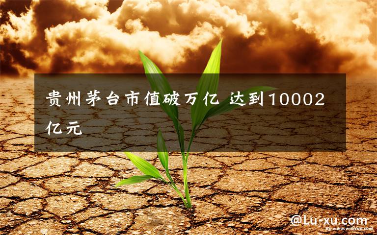 貴州茅臺市值破萬億 達(dá)到10002億元