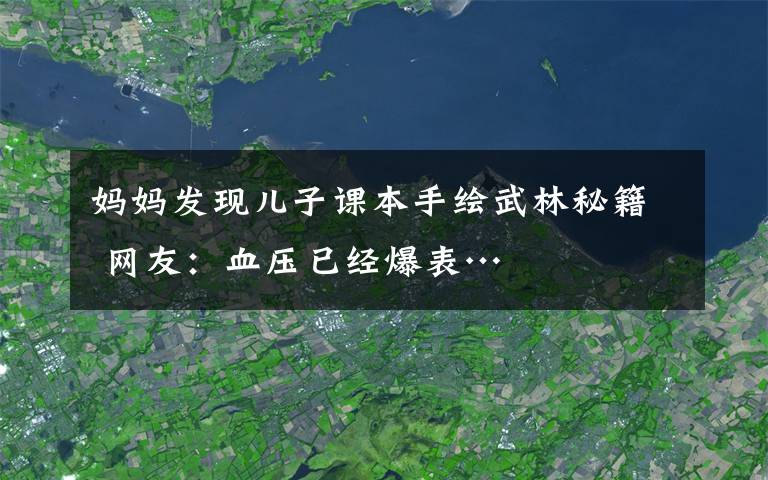 媽媽發(fā)現(xiàn)兒子課本手繪武林秘籍 網(wǎng)友：血壓已經(jīng)爆表…