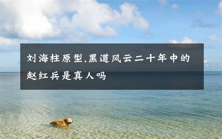 劉海柱原型,黑道風(fēng)云二十年中的趙紅兵是真人嗎