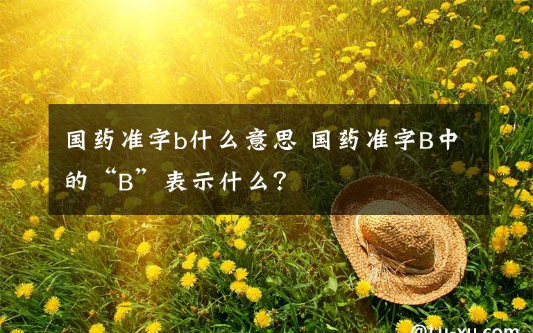 國藥準字b什么意思 國藥準字B中的“B”表示什么？