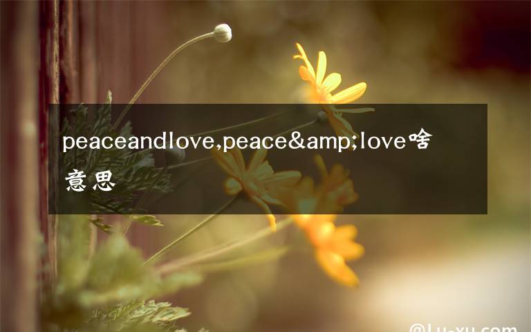 peaceandlove,peace&love啥意思